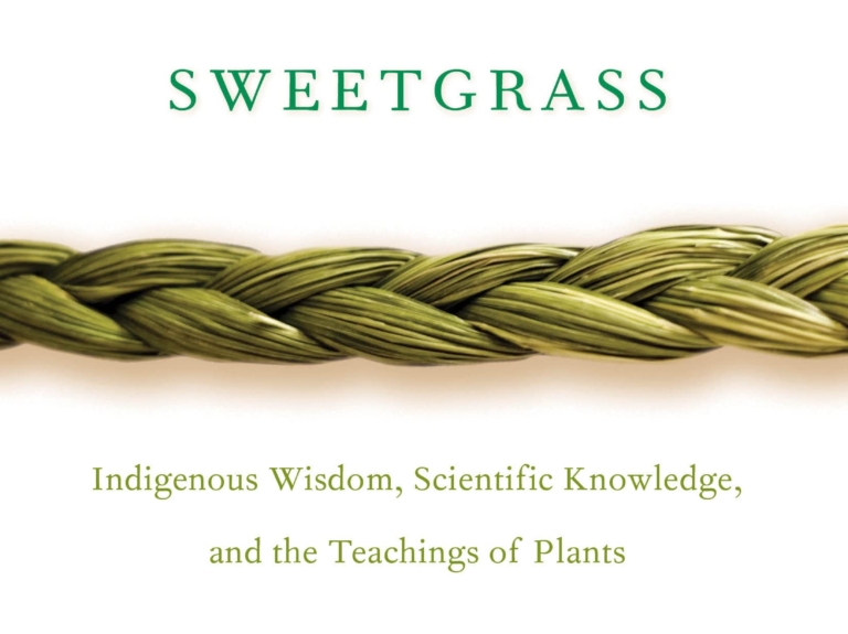 braiding swettgrass