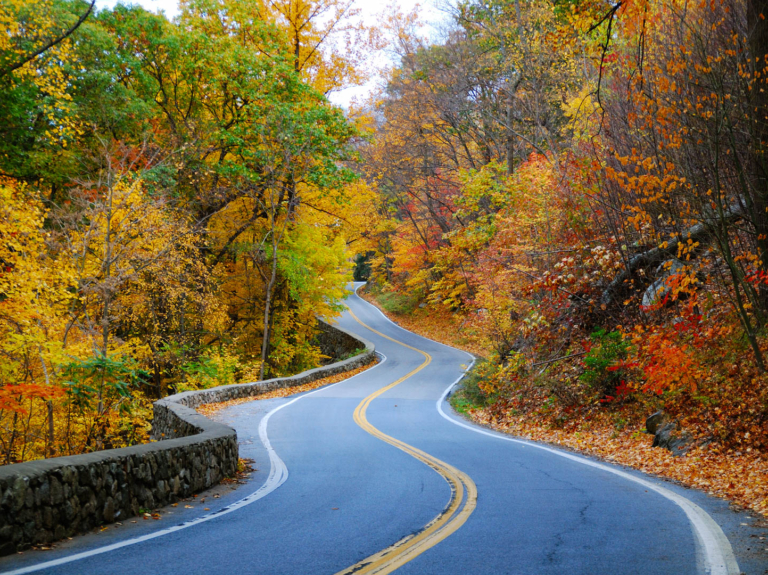 colorful winding Autumn road