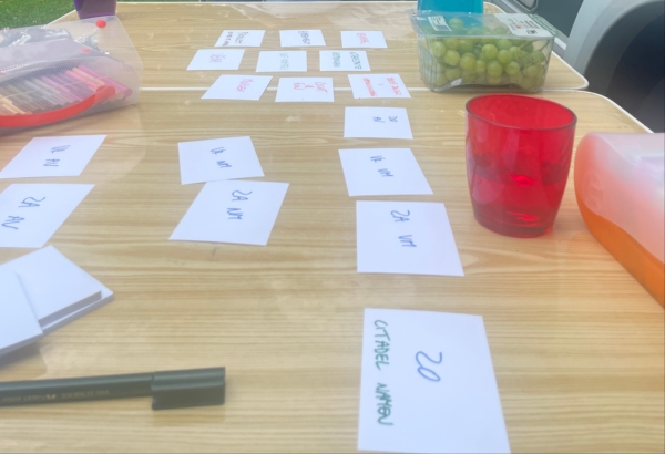 How to Organize a Successful International Meeting in Less Than Sixteen Hours