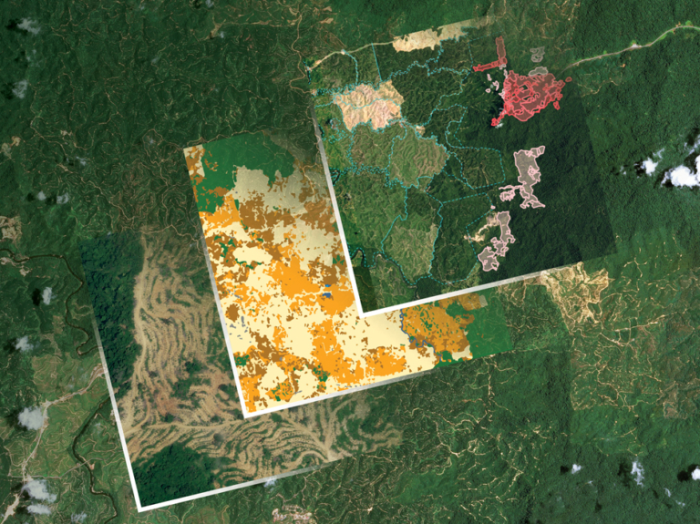 Starling_4x3_couv-flyer